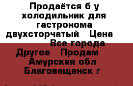 Продаётся б/у холодильник для гастронома двухсторчатый › Цена ­ 30 000 - Все города Другое » Продам   . Амурская обл.,Благовещенск г.